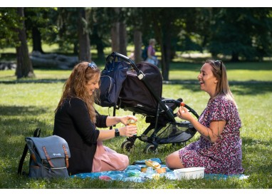 TrueLife Picnic Blanket 1410