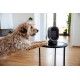 Lauben Desk Fan&Heater 2in1 600BB