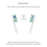 TrueLife SonicBrush Clean30 White