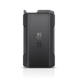 SANDISK PROFESSIONAL OBUDOWA PRO-BLADE SSD M.2 Transport 1TB WW