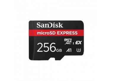 KARTA SANDISK EXPRESS microSDXC 256GB (880/650 MB/s) EX C10 U3 UHS-I