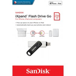 DYSK USB iXpand FLASH DRIVE GO 256GB